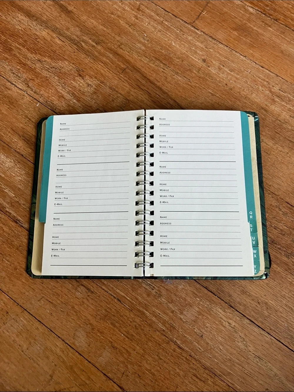 Peacock Feathers Address Book